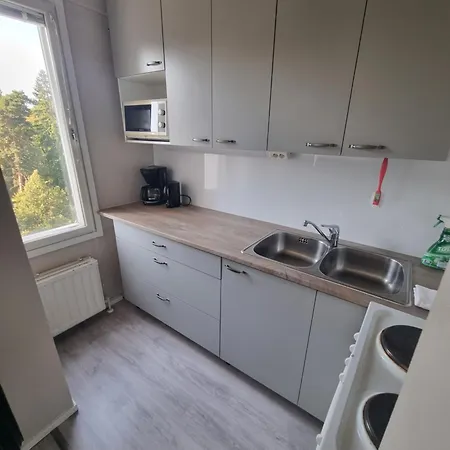 Ylimmaen Kerroksen Yksioe Laehellae Matkakeskusta アパート