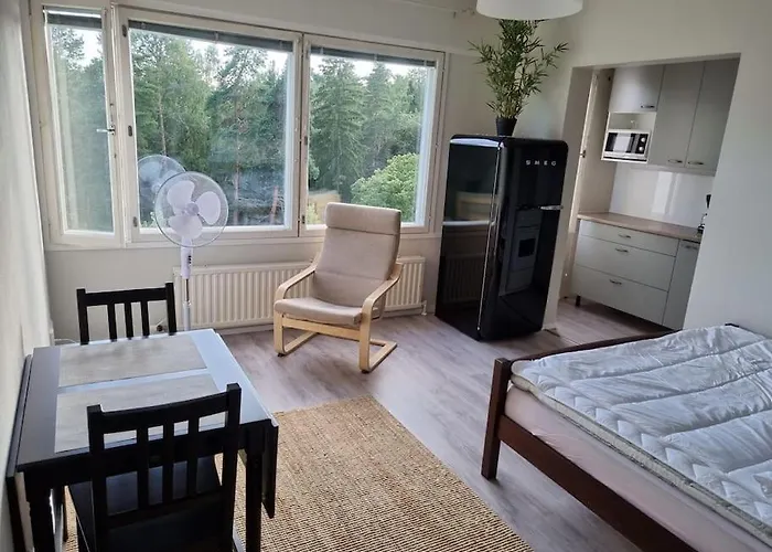 Ylimmaen Kerroksen Yksioe Laehellae Matkakeskusta Appartement *