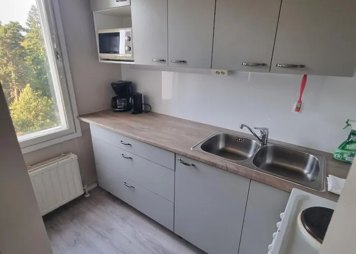 Ylimmaen Kerroksen Yksioe Laehellae Matkakeskusta Appartement